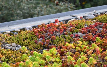 the cost of Amesbury green roof installation