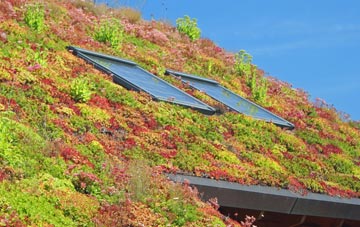 Amesbury living roof systems